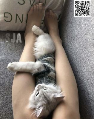 9277免费高清在线观看日本_BD英语韩国电影在线观看