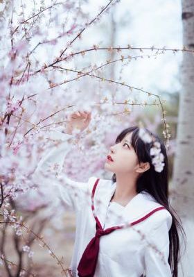 草女人视频_高清免费观看电视剧